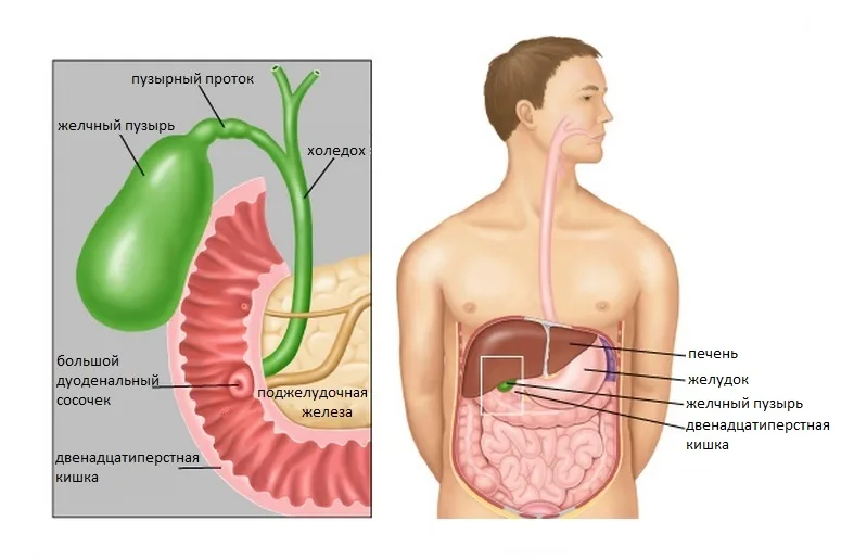 holisticit.jpg