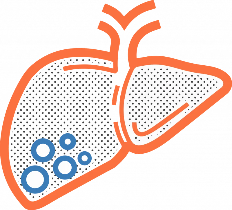 liver.png
